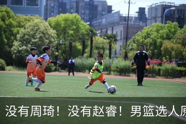 没有周琦！没有赵睿！男篮选人原则曝光，郭士强：没这5点接受不了